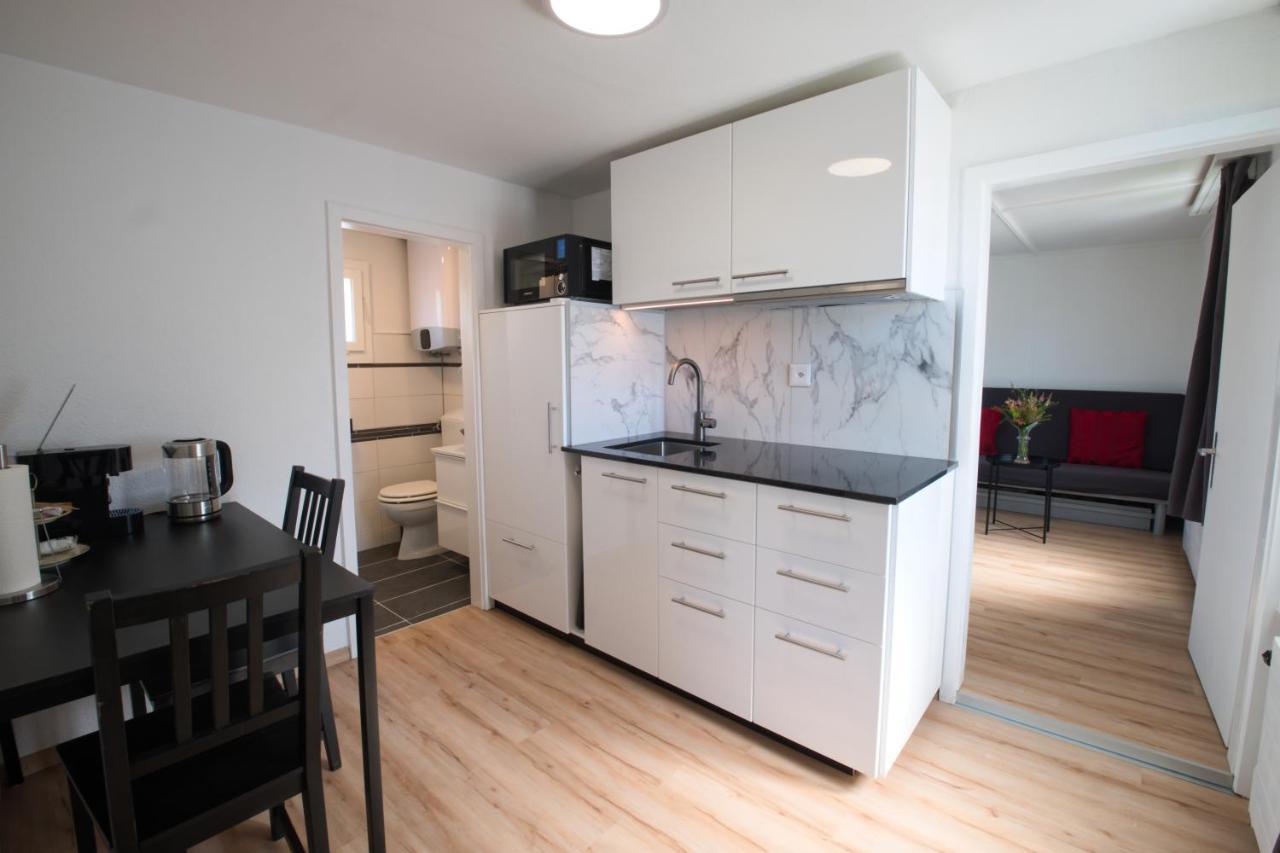 Lake Getaway Apartment With Private Entrance, Right On The Lake Constance Cycle Path, Barbecue Area, Free Wifi, Netflix And Free Bikes Salmsach エクステリア 写真