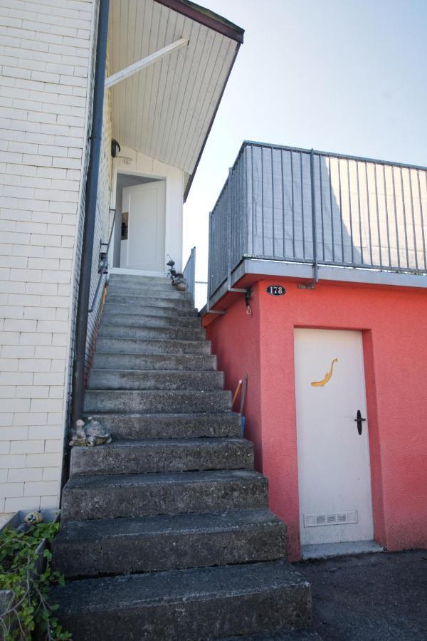 Lake Getaway Apartment With Private Entrance, Right On The Lake Constance Cycle Path, Barbecue Area, Free Wifi, Netflix And Free Bikes Salmsach エクステリア 写真